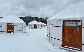 Glamping Iurte Mongole Spiritul Zimbrului